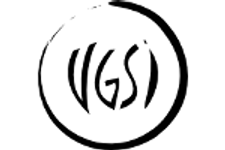 logo_vgsi.png